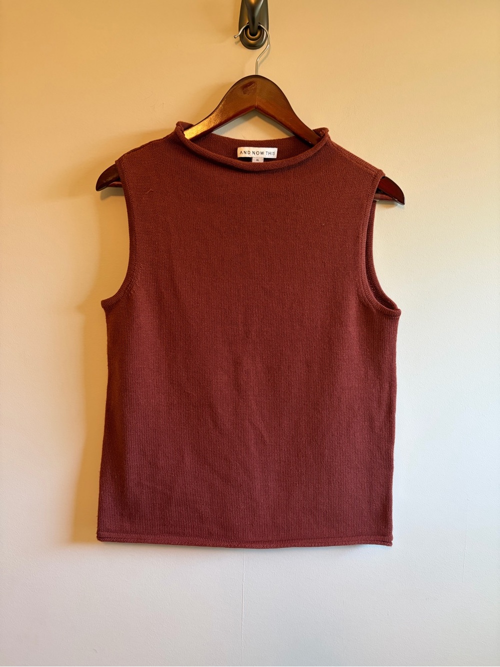 And Now This Sleeveless Knit Top in Brick Red